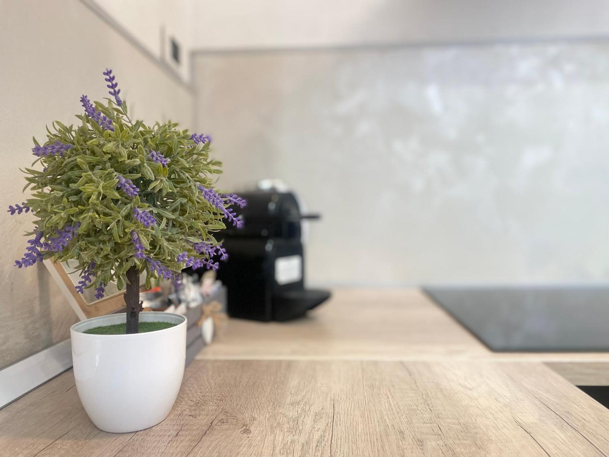 Mazzini 12 Very Central Apartment With Private Garage, Air Conditioning, Wifi, Just 50 Meters From The Beach Rapallo Extérieur photo